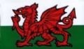 Welsh dragon sticker