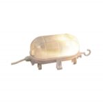 Bulkhead Light